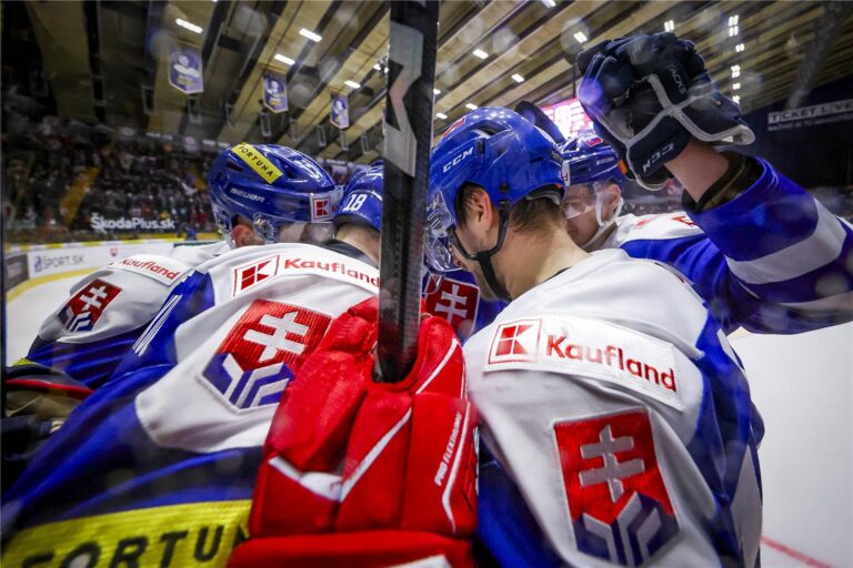 Slovensko prehralo proti výberu USA v poslednom prípravnom zápase pred MS